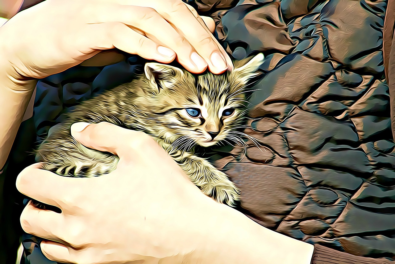 entdecken sie effektive strategien und initiativen zum schutz von tieren. erfahren sie, wie sie aktiv zum tierschutz beitragen können und welche organisationen sich für das wohl der tiere einsetzen.