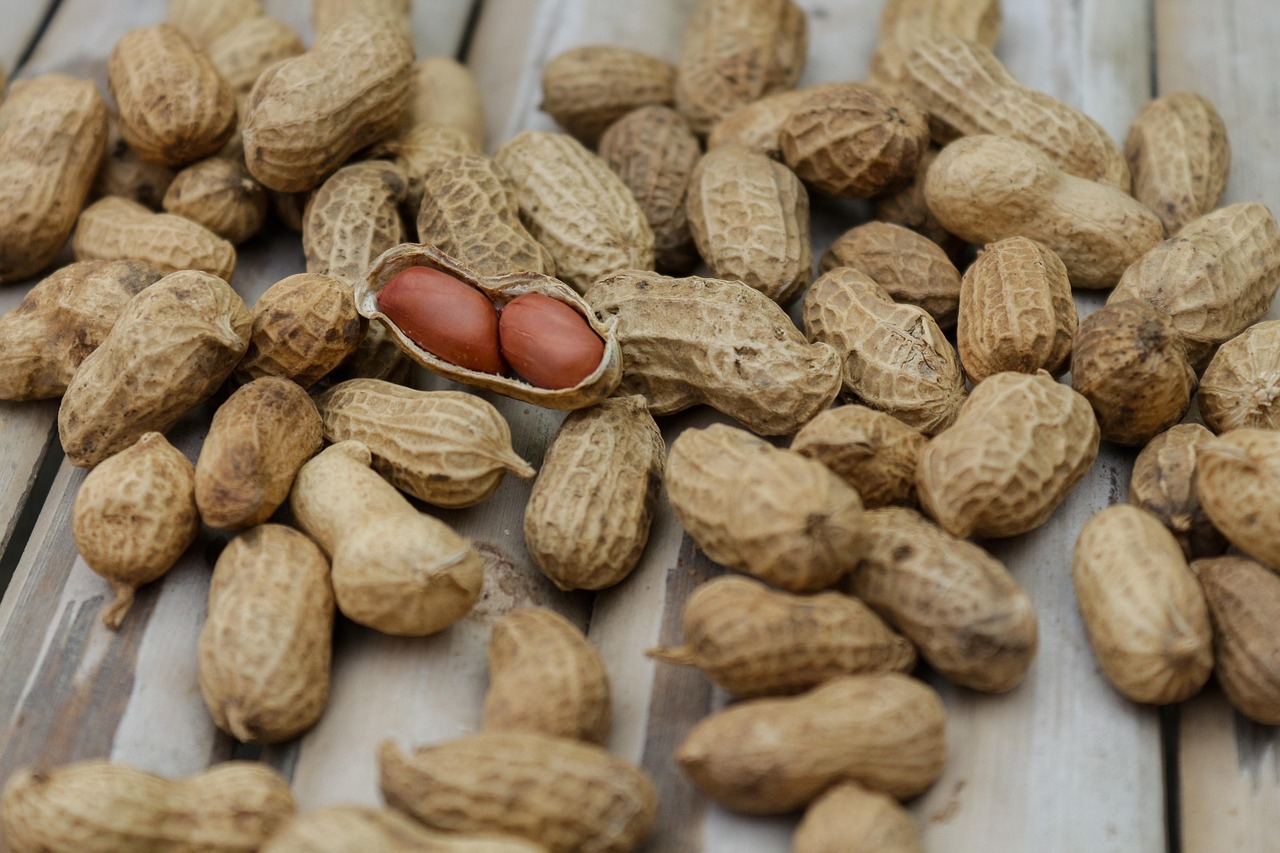 entdecken sie die welt der ernährung mit unseren tipps und ratschlägen für eine gesunde lebensweise. verbessern sie ihr wohlbefinden und erfahren sie mehr über ausgewogene mahlzeiten, nährstoffe und ernährungstrends.