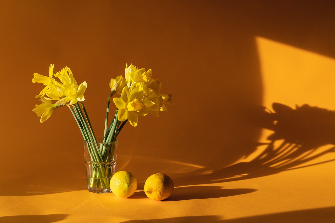 entdecken sie inspirierende wohnideen und stilvolle deko für ihr zuhause. tauchen sie ein in die welt des home decor und verleihen sie ihren räumen eine persönliche note!