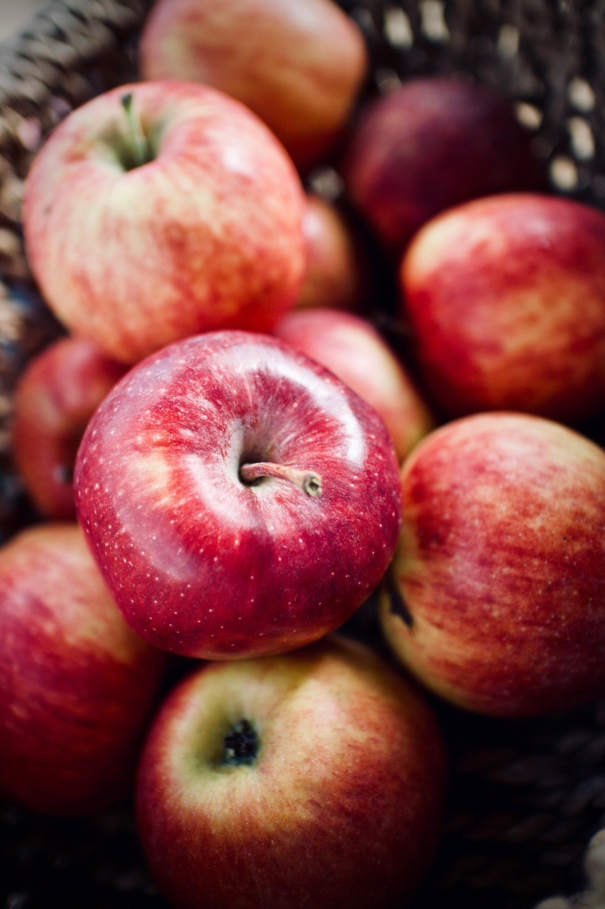 erfahren sie alles über die richtige ernährung für ihre haustiere. entdecken sie tipps, ratschläge und hochwertige produkte, um die gesundheit und das wohlbefinden ihres geliebten begleiters zu fördern.