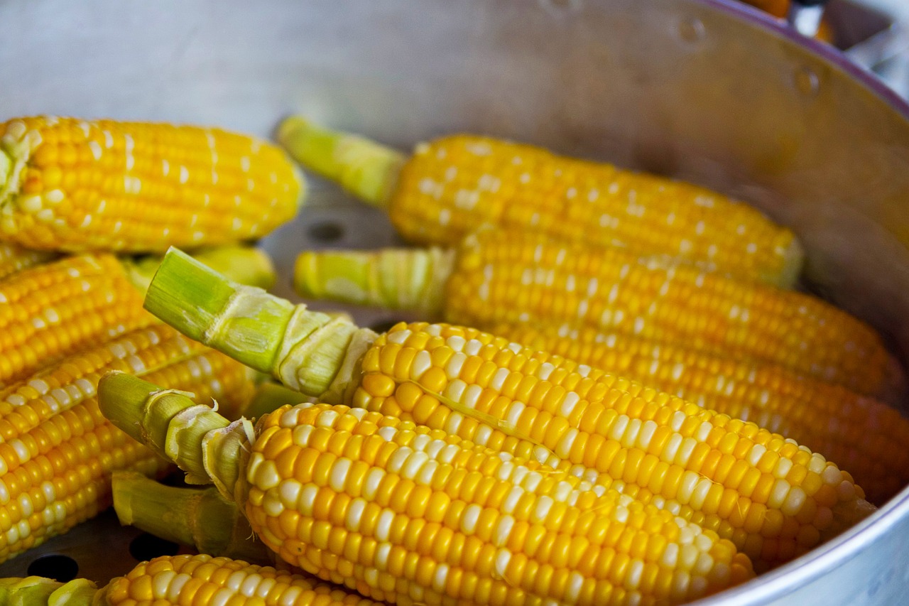 entdecken sie die besten tipps und ratschläge zur ernährung! erfahren sie, wie sie ihre gesundheit durch ausgewogene ernährung verbessern, nahrhafte rezepte ausprobieren und gesunde essgewohnheiten entwickeln können.