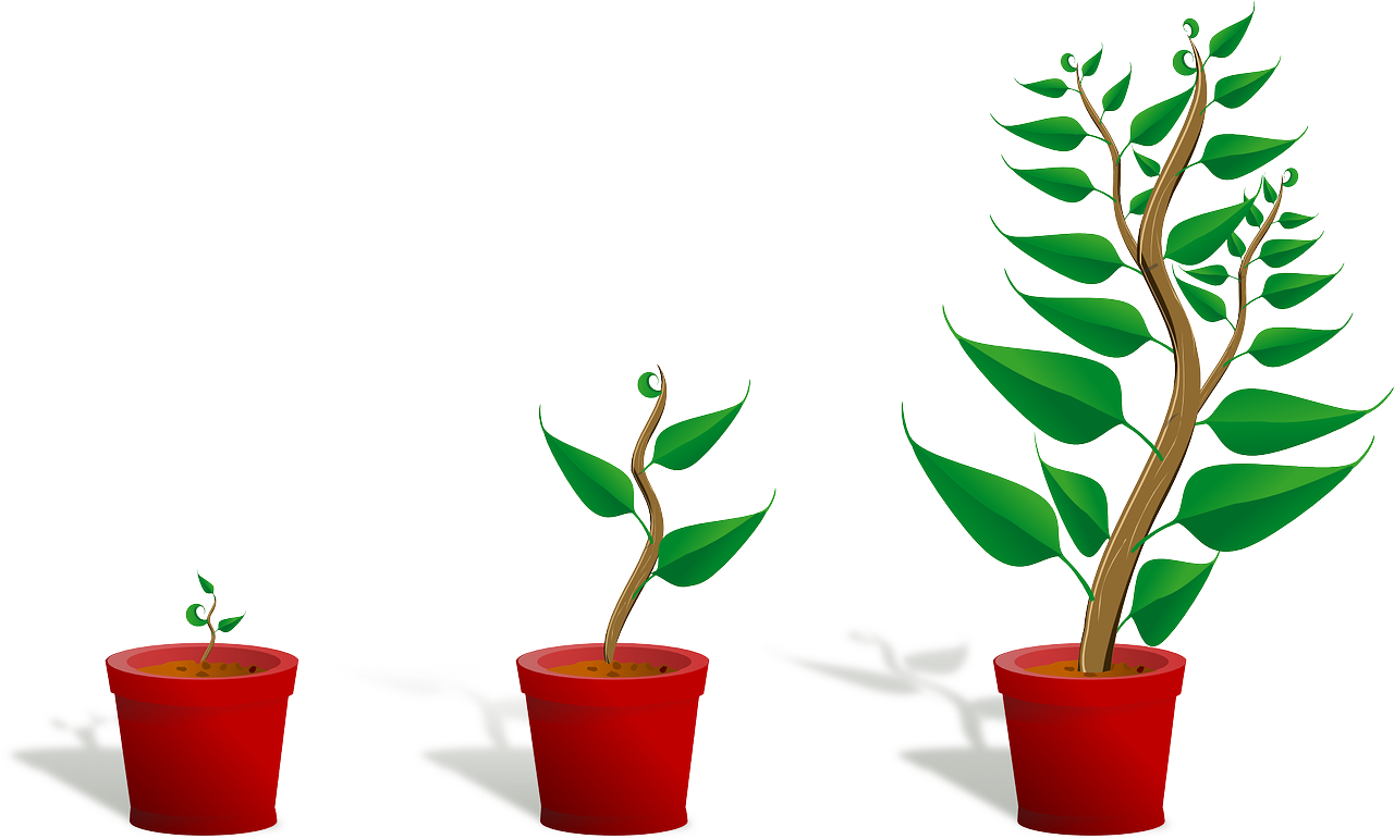 entdecken sie strategien und tipps zur förderung des wachstums kleiner unternehmen. erfahren sie, wie sie ihre einnahmen steigern und ihre kundenbasis erweitern können.