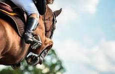 Welche Qualitäten braucht man, um ein guter Dressurreiter zu sein?