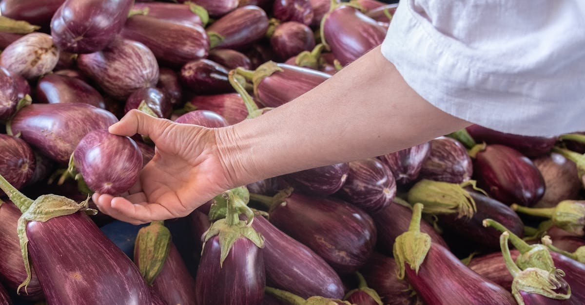 Welche Ernährungstrends 2024 fördern tatsächlich unsere Gesundheit?