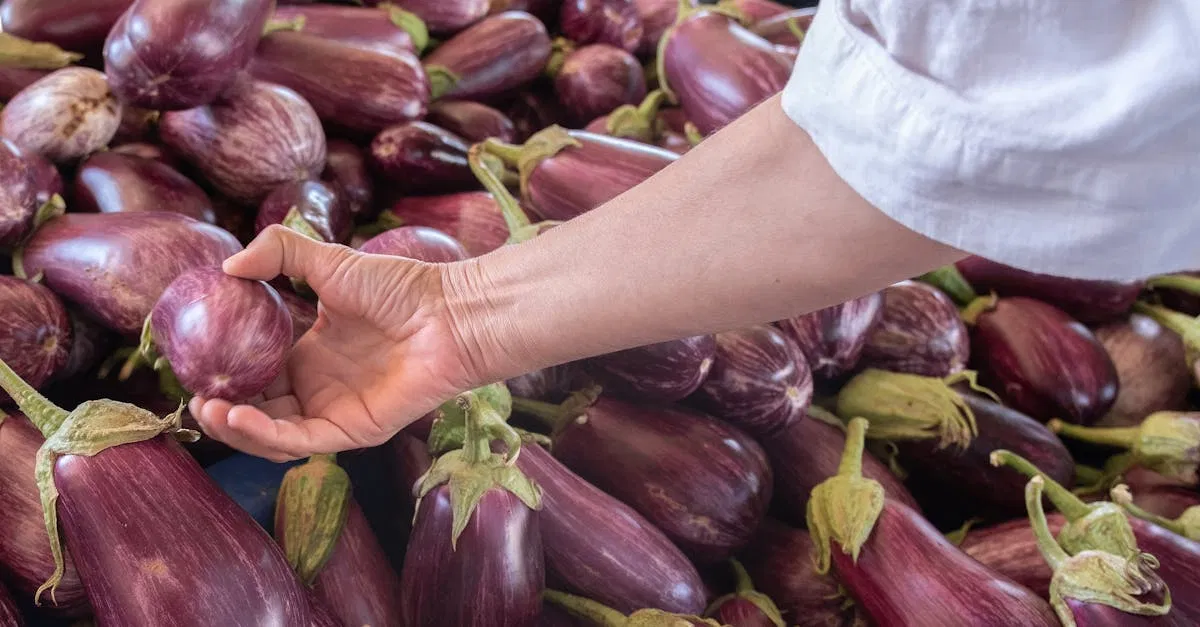 Welche Ernährungstrends 2024 fördern tatsächlich unsere Gesundheit?