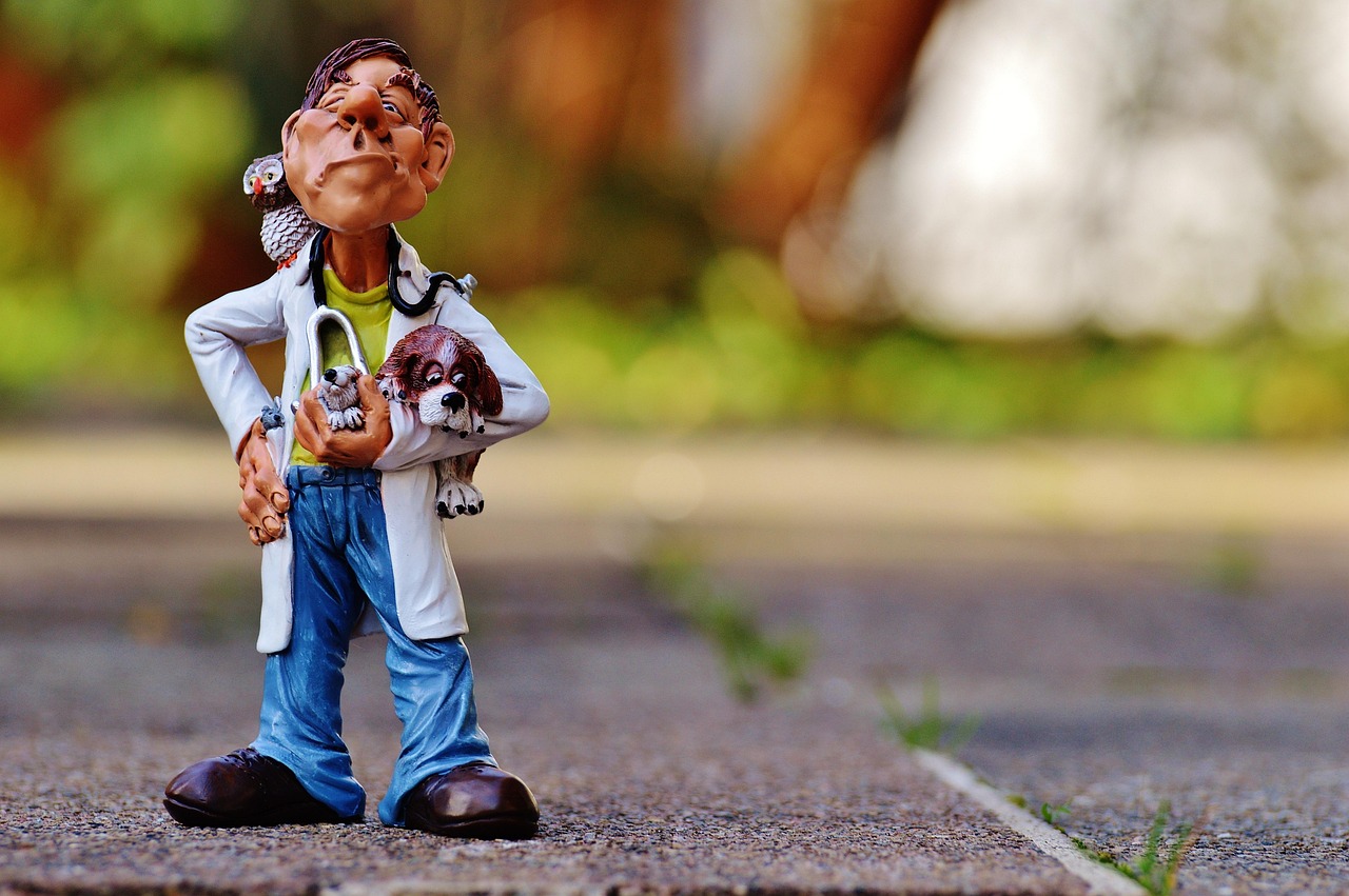 Tipps für stressfreie Tierarztbesuche