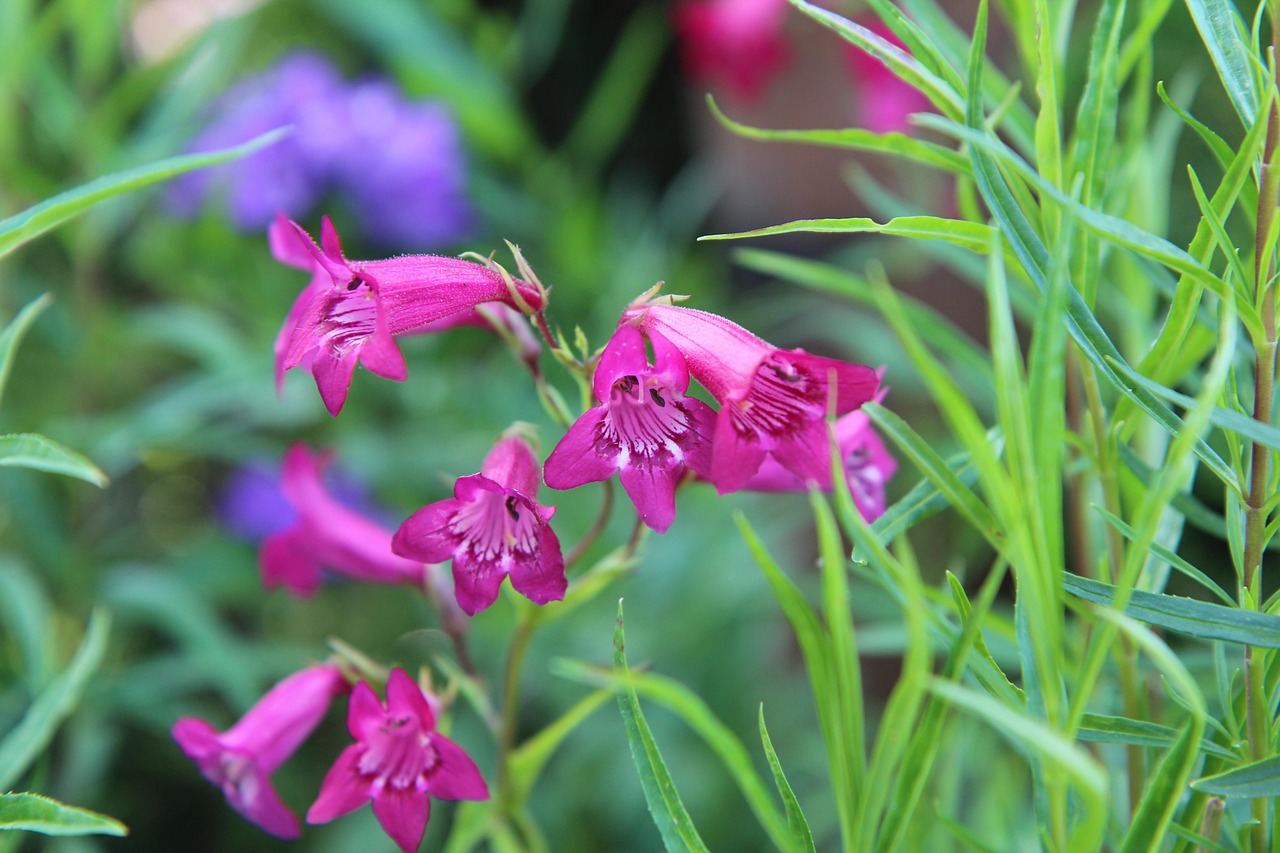 Praktische Ratschläge für ein erfüllteres Leben: Tipps für mehr Sinn und Zufriedenheit im Alltag