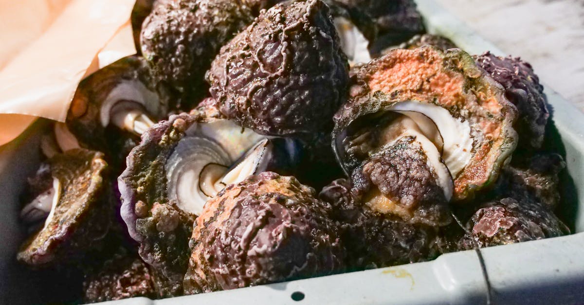 Wie bereitest du ein gesundes und schnelles Mittagessen in weniger als 30 Minuten zu?