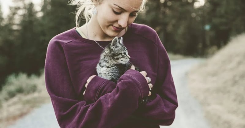 Tierpflege: wichtige Tipps für eine gesunde Haustierhaltung