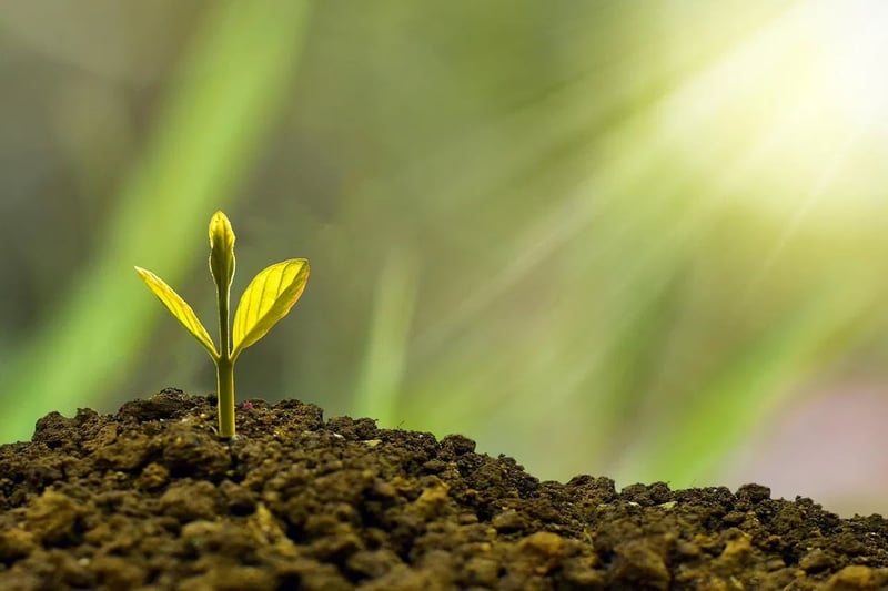 Finanzunternehmen im Wandel: Trends und Herausforderungen