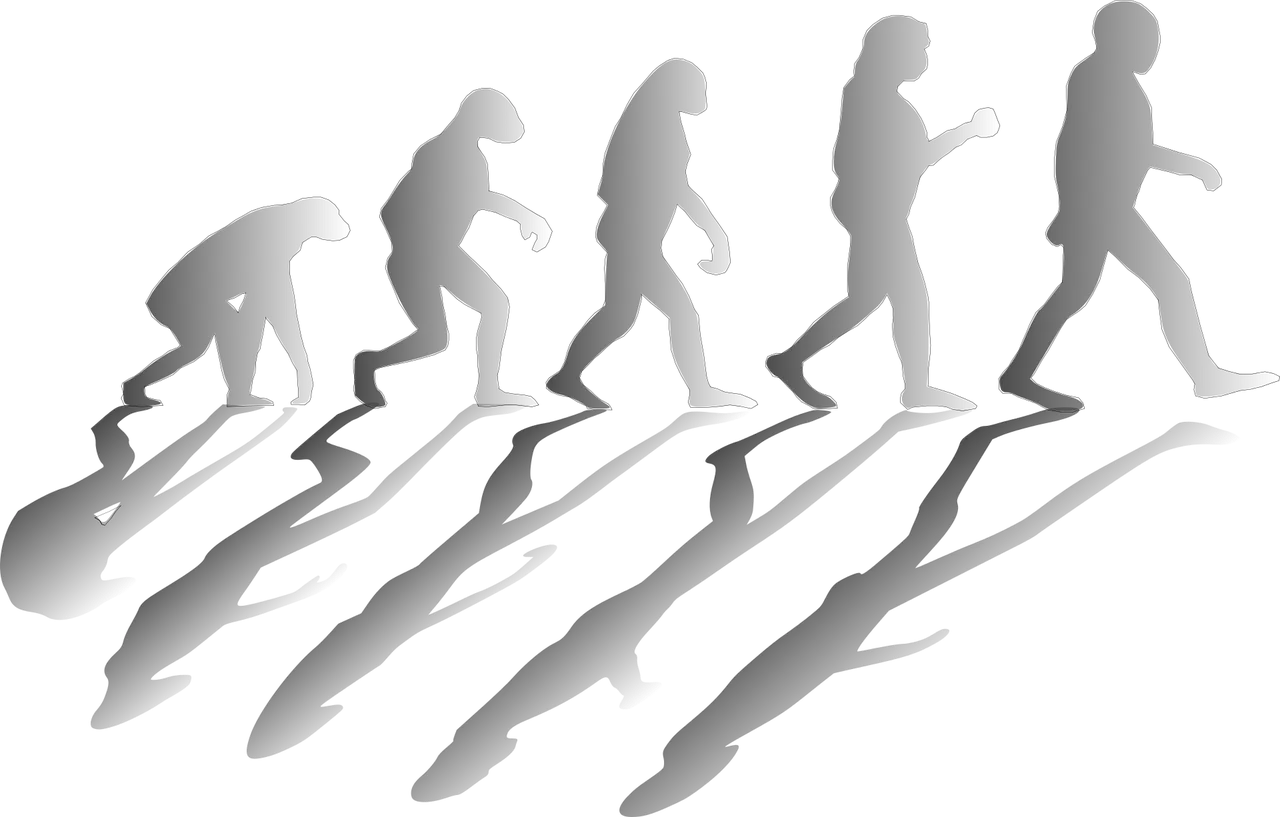 Die Entwicklung der Modenschau im Laufe der Jahre