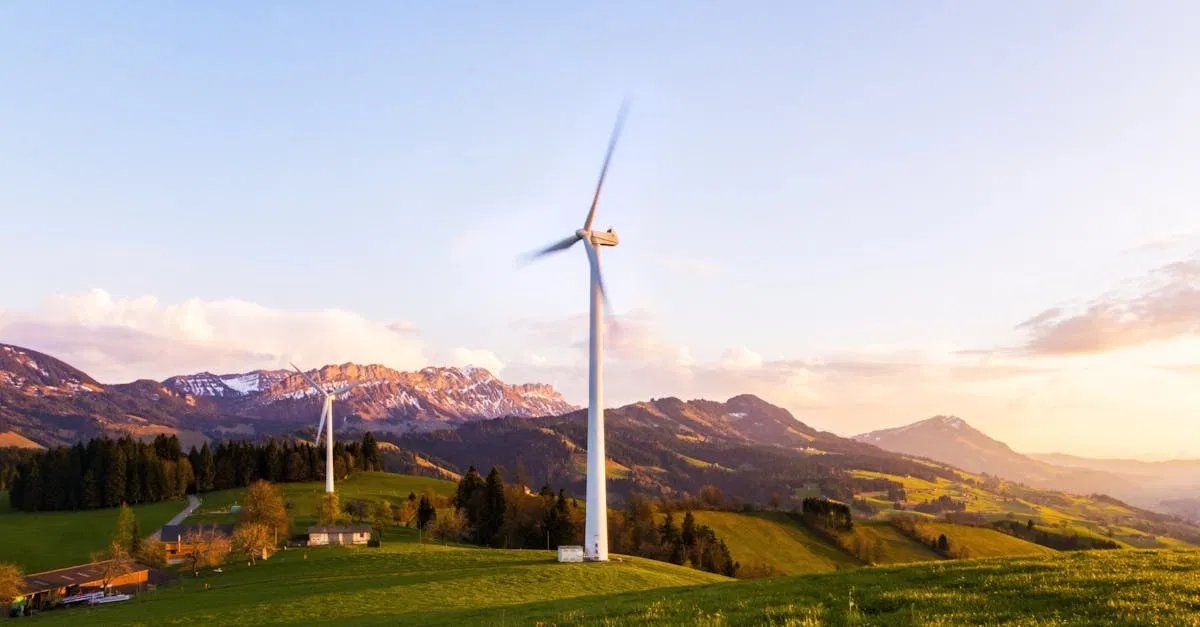 Wie verwandeln Sie Ihr Zuhause in ein nachhaltiges Paradies?