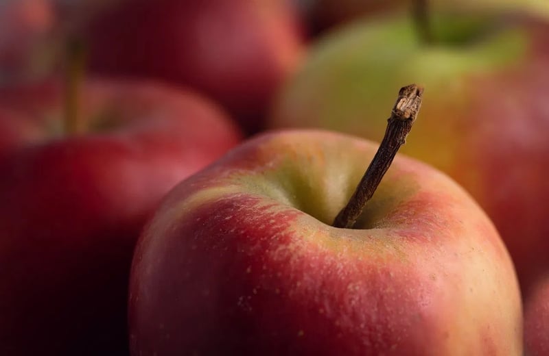 Gesundheitsbewusstsein im Alltag: Tipps für ein gesünderes Leben