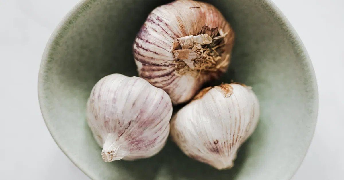 Sind vegetarische Gerichte die neuen Lieblingsrezepte aller?