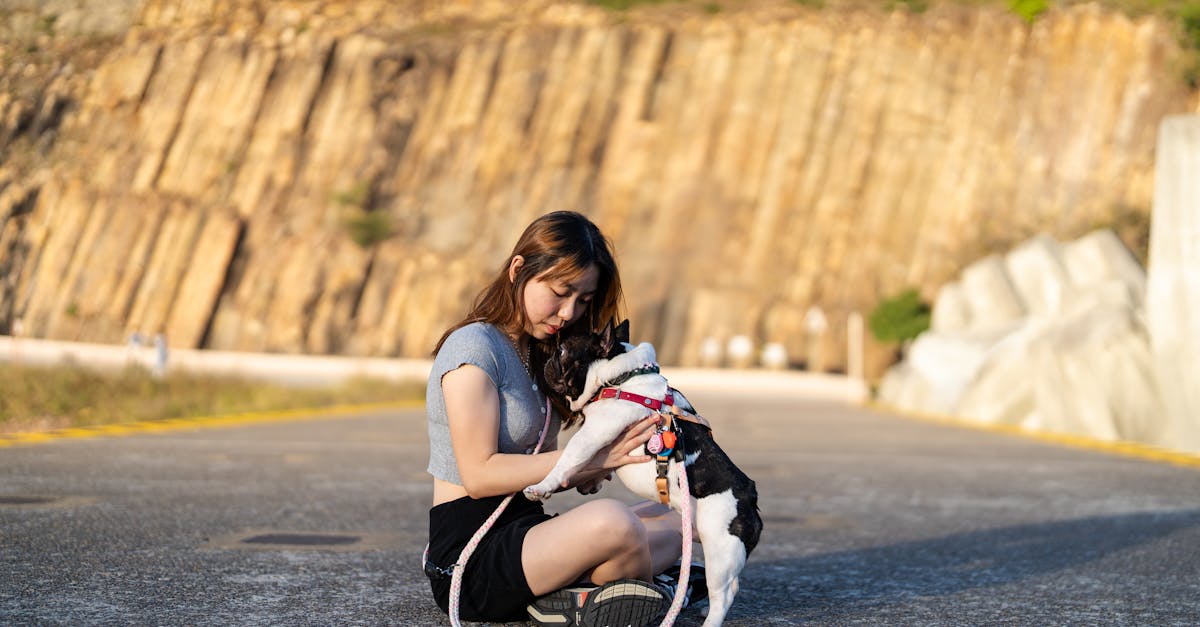 Wie finden Sie die perfekte Ernährung für Ihren Hund?