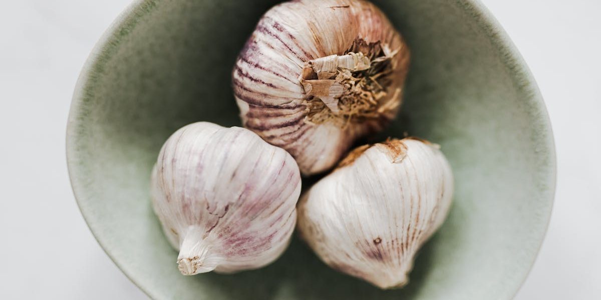 entdecken sie köstliche vegetarische rezepte für jeden anlass! von einfachen gerichten bis hin zu festlichen menüs, diese sammlung bietet gesunde und schmackhafte optionen für alle, die sich pflanzlich ernähren möchten.