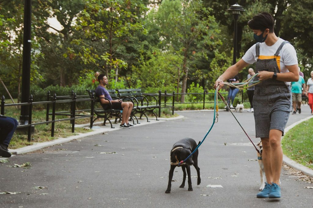 Mann in weißem T-Shirt und blauen Shorts hält schwarzen Kurzhaar-Hund