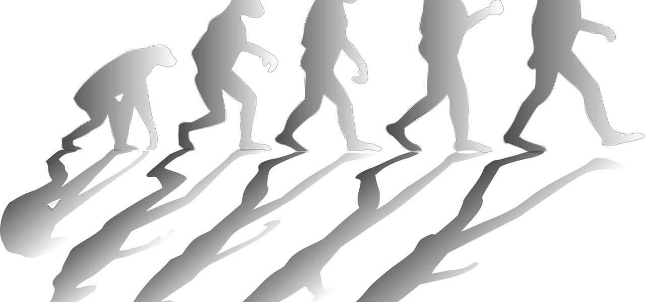 erleben sie die faszinierende evolution der mode-schauen, von den anfängen bis zu den modernen laufstegen. entdecken sie trends, designs und die kulturelle bedeutung, die modenschauen im laufe der jahre geprägt haben.
