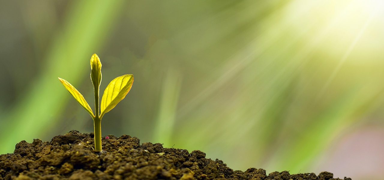 entdecken sie die welt der finanzunternehmen: innovative lösungen, leistungsstarke dienstleistungen und wertvolle einblicke in die finanzbranche. ideal für investoren, unternehmen und fachleute, die auf der suche nach den besten strategien in der finanzwelt sind.