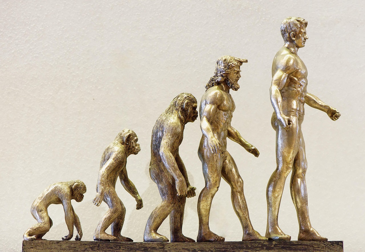 entdecken sie die faszinierende evolution der modeschauen, von den glamourösen anfängen bis hin zu den innovativen trends der modernen modewelt. tauchen sie ein in die geschichte und die veränderungen, die das fashion-event geprägt haben.