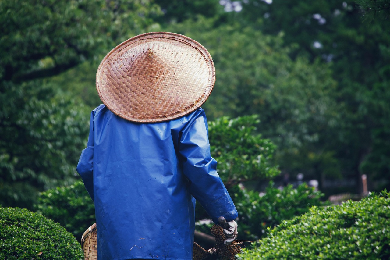 entdecken sie die welt des gärtnerns! tipps, tricks und inspirationen für ihren garten, egal ob für anfänger oder erfahrene gärtner. lassen sie ihrer kreativität freien lauf und verwandeln sie ihren außenbereich in eine blühende oase.
