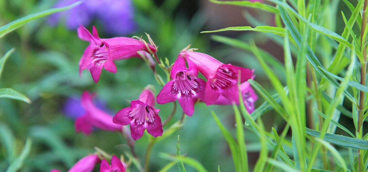 effiziente fulfillment-lösungen für nahtlose auftragsabwicklung und schnellen versand.