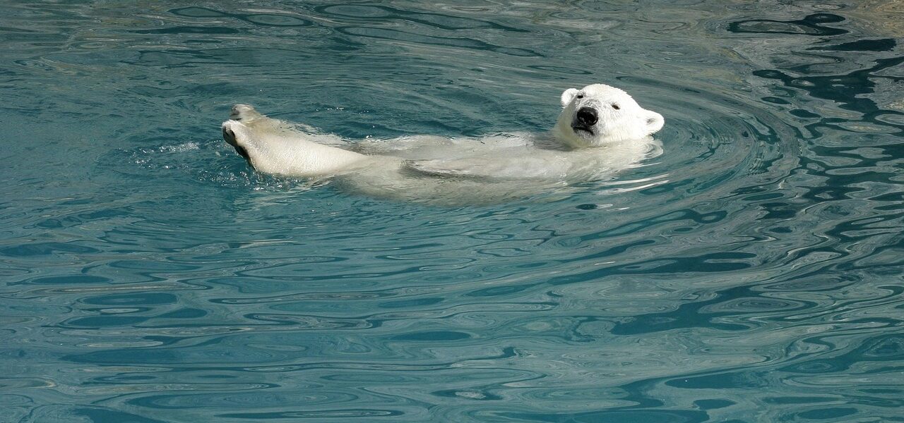 entdecken sie effektive strategien zur veränderung von gewohnheiten und wie sie langfristige positive veränderungen in ihrem leben erzielen können.