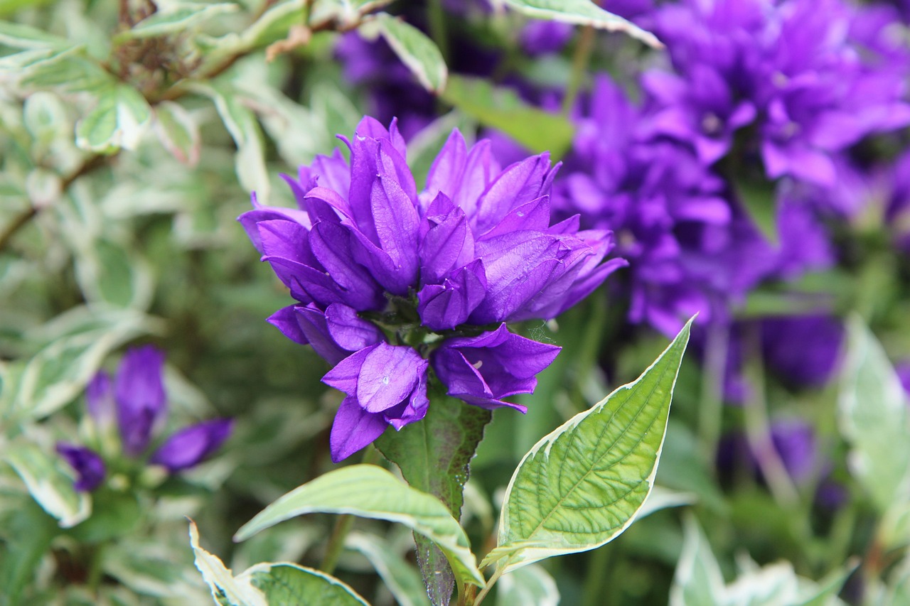 erleben sie effizientes fulfillment mit zuverlässigen lösungen für lagerung, versand und bestellabwicklung zur optimierung ihrer lieferkette.