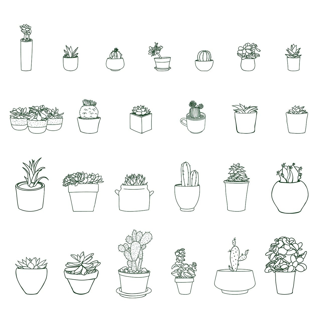 entdecken sie unsere vielf&auml;ltige auswahl an zimmerpflanzen, die ihr zuhause mit frischer luft und nat&uuml;rlicher sch&ouml;nheit bereichern.