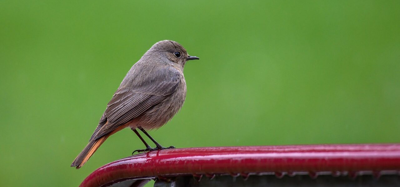 h&auml;ufige allt&auml;gliche fehler erkennen und vermeiden &ndash; praktische tipps f&uuml;r den alltag.